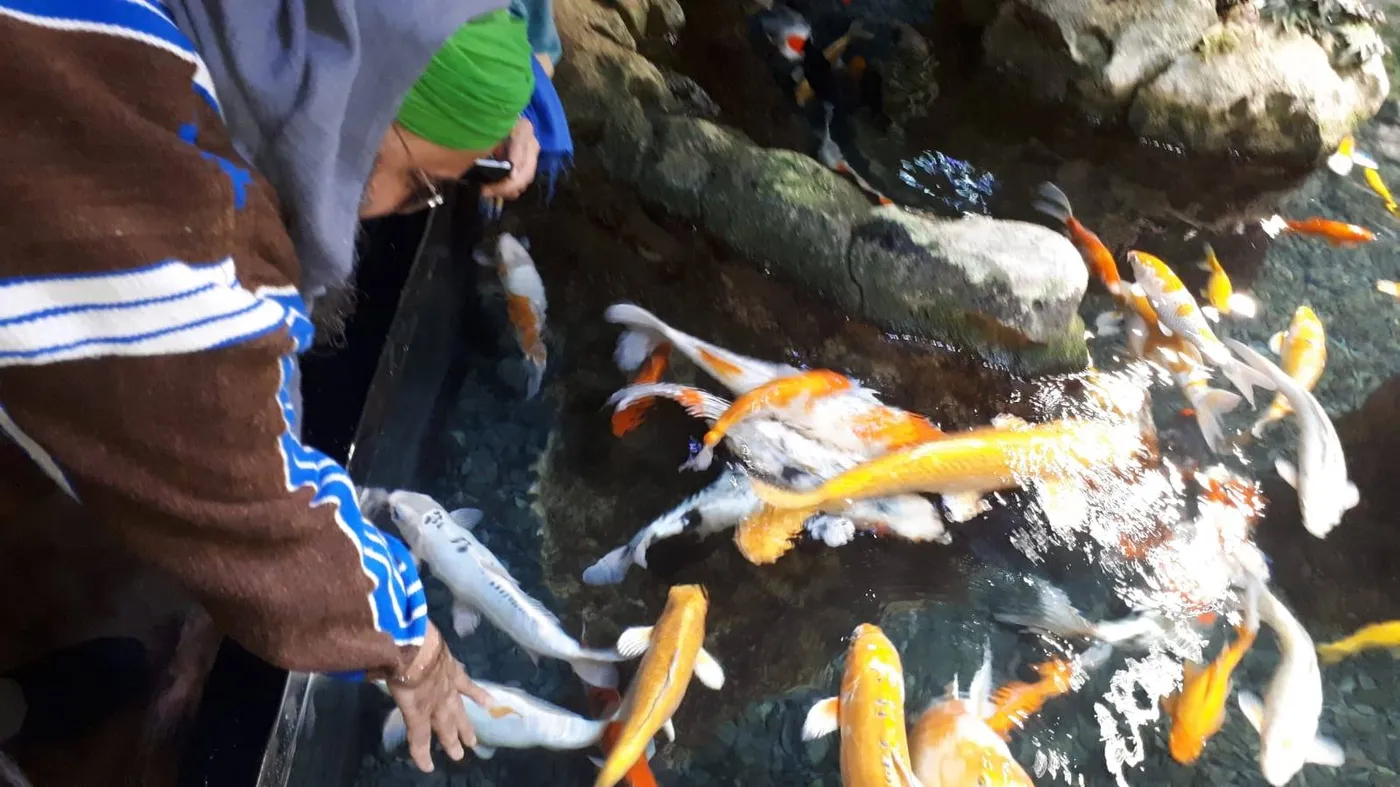 Sidi Shaykh à l'Aquarium de Paris