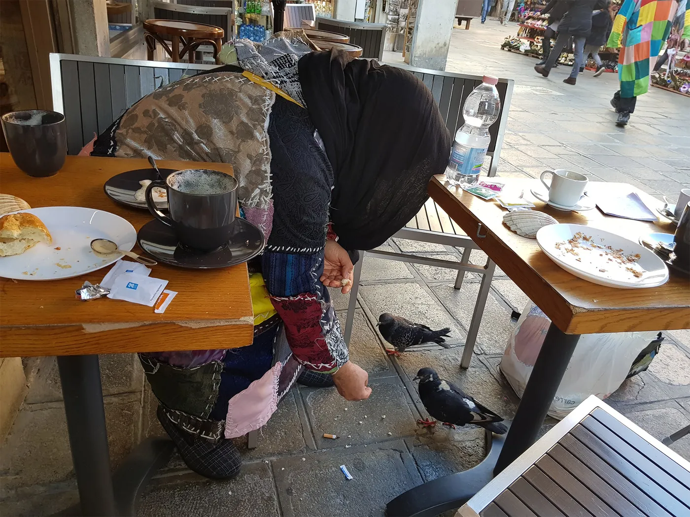 Les oiseaux, amis de sidi Shaykh à Venise