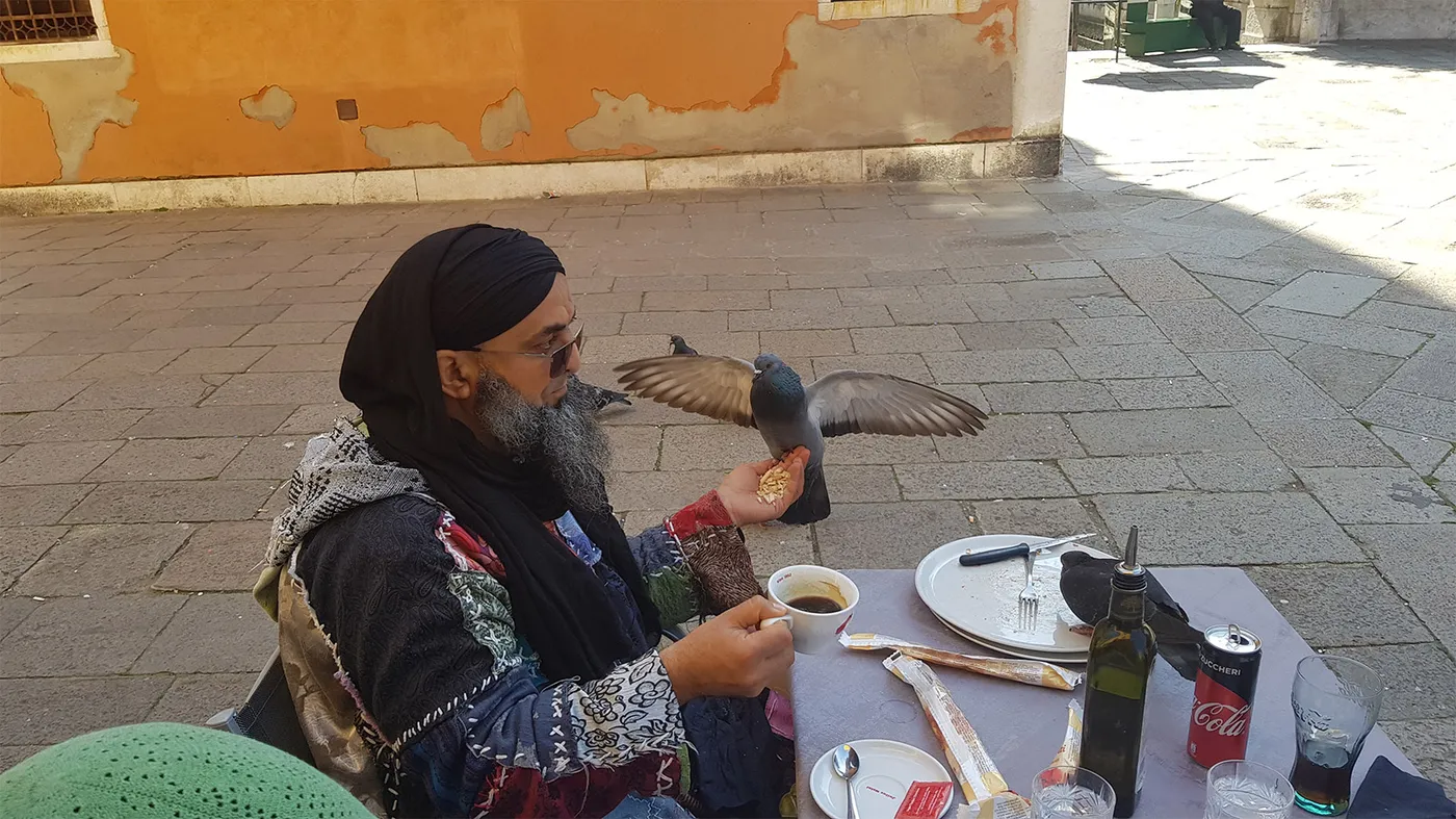 Les oiseaux, amis de sidi Shaykh à Venise
