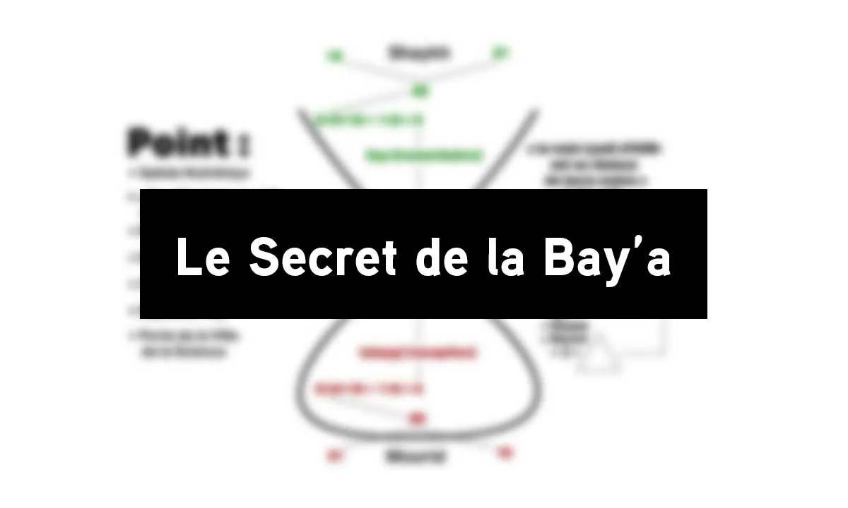 Le Secret de la Bay'a