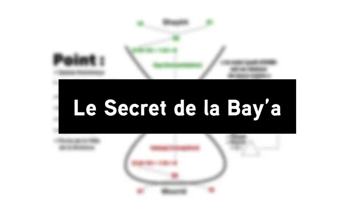Le Secret de la Bay'a