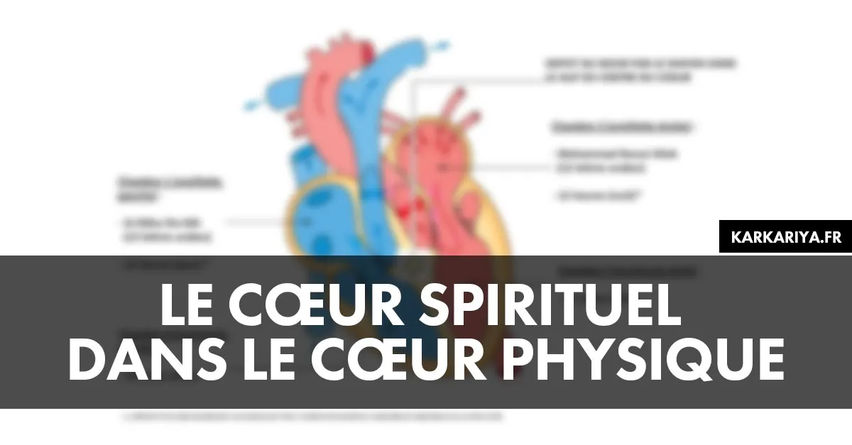 Le cœur spirituel dans le cœur physique.